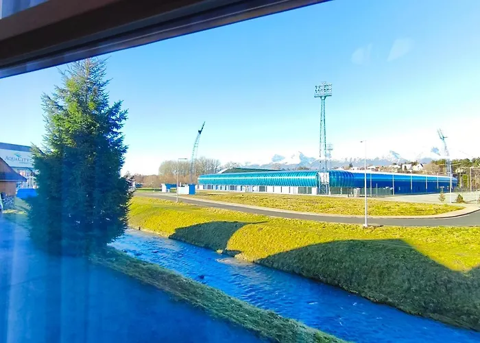 Grizzly House Guest house *